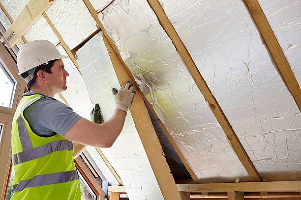 Best Commercial Insulation in Pelzer, SC